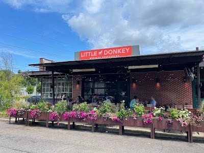 Little Donkey