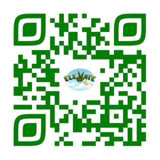 Elevate One Tx Llc