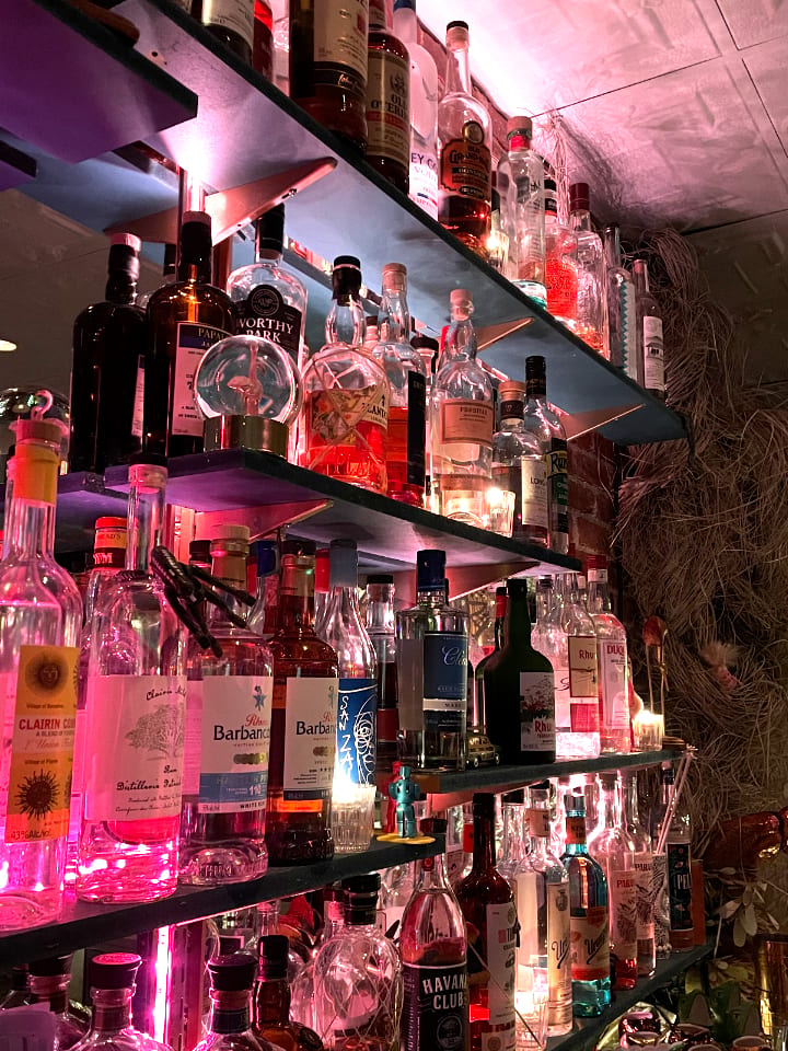 Jungle