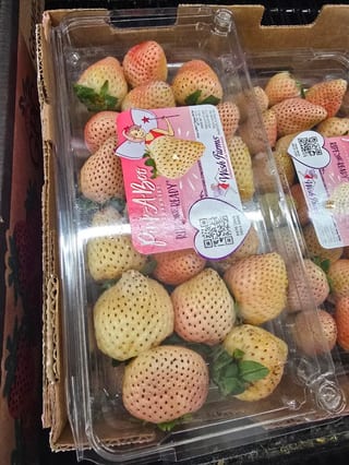 Price Less Foods