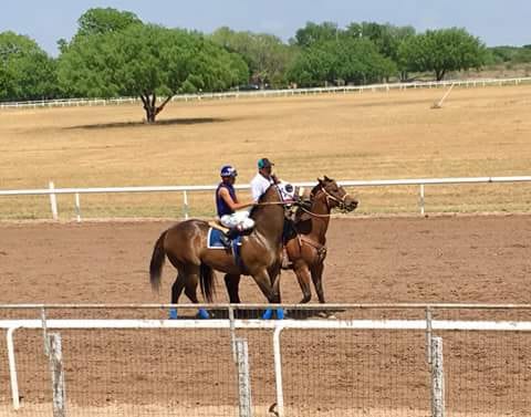 Las Palmas Downs