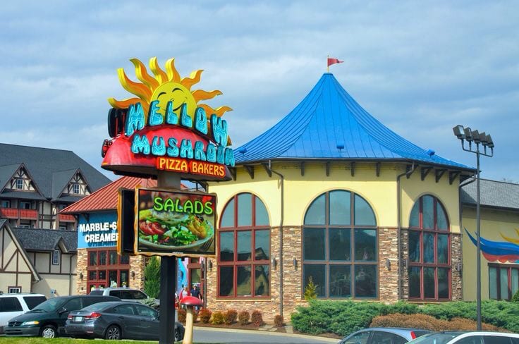 Mellow Mushroom