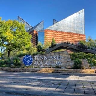 Tennessee Aquarium