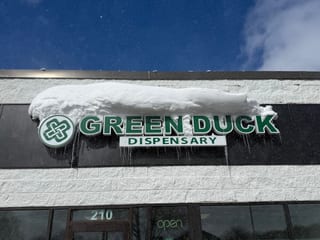 Green Duck Group Llc