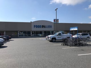 Food Lion #391