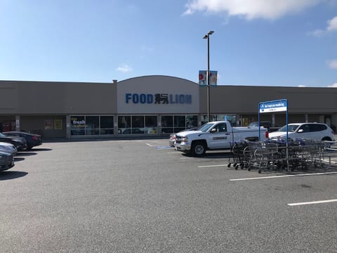 Food Lion #391