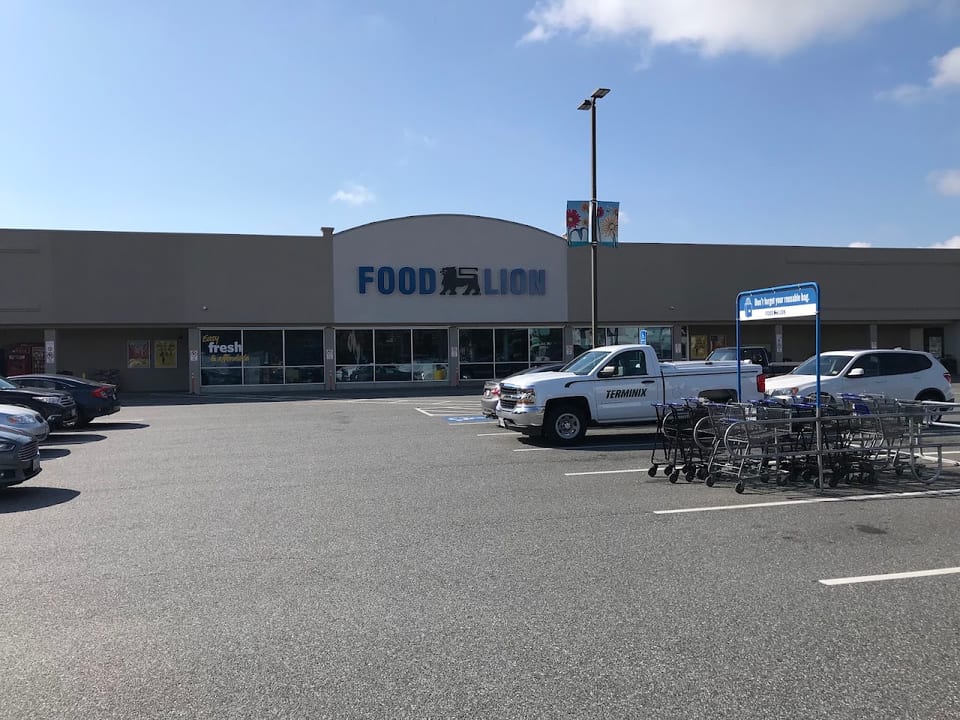 Food Lion #391