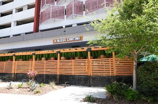 Nueva Cantina