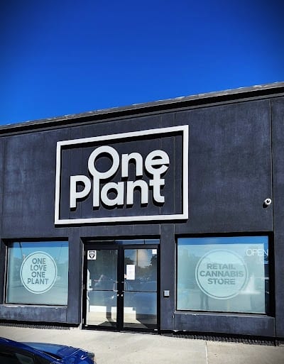 One Plant