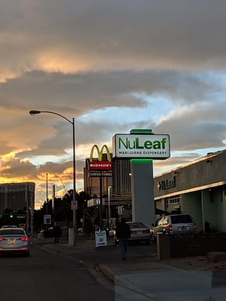 NuLeaf Twain