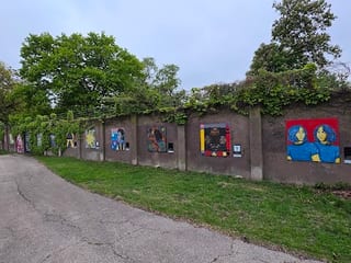 Challenger Dog Park
