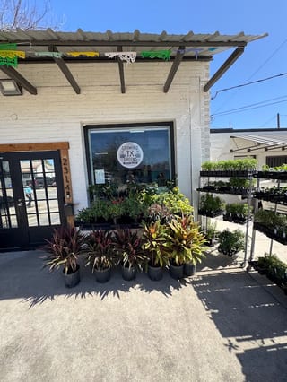 Green Emporium - S Flores