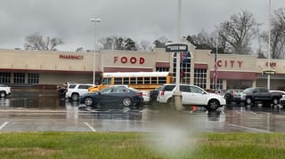 Food City