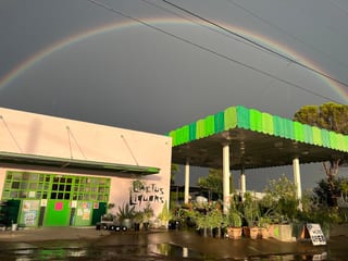 Cactus Liquors