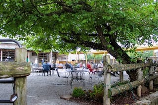 Loflin Yard