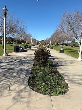 Ntc Park