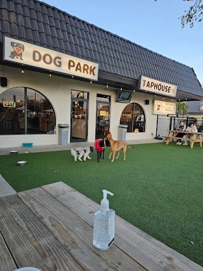 Barks & Brews