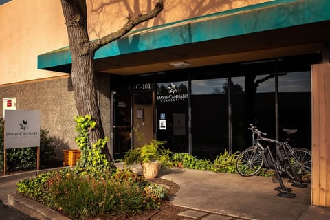 Davis Cannabis Collective (dcc)