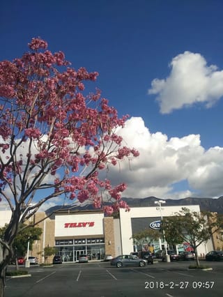 East Pasadena