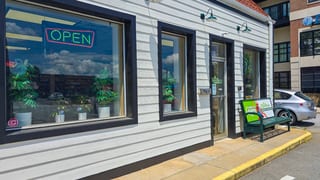 Apotheca, Brevard