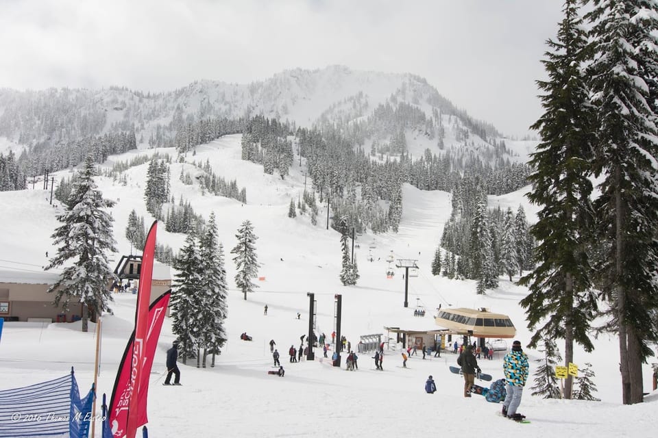 Foggy Goggle Bar & Grill (stevens Pass)