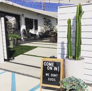 Landmark Plant Co. - Leucadia