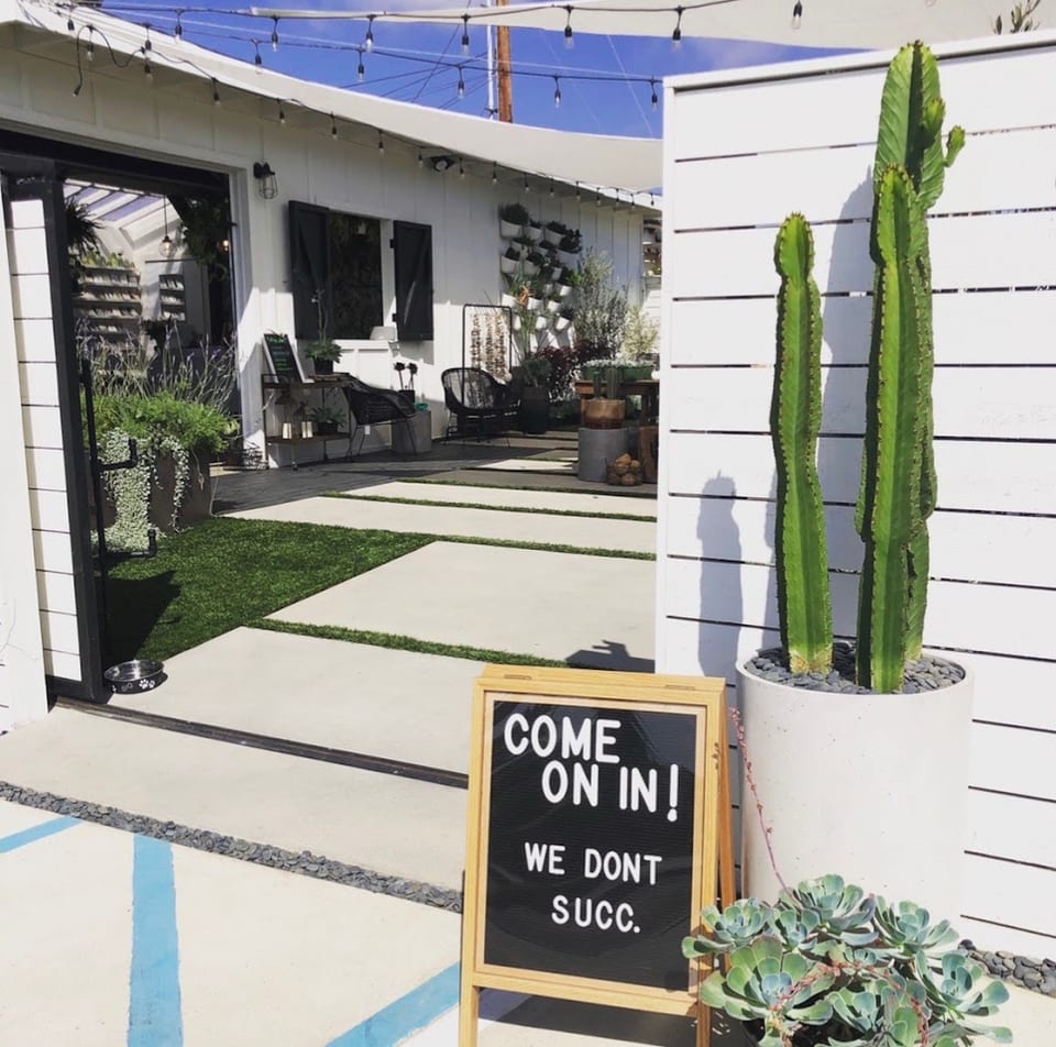 Landmark Plant Co. - Leucadia