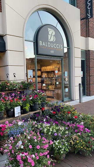 Balduccis