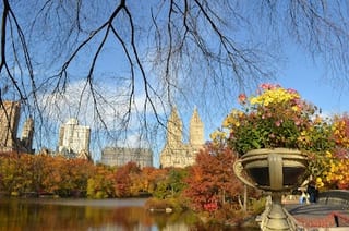 Ibike Power Central (park)