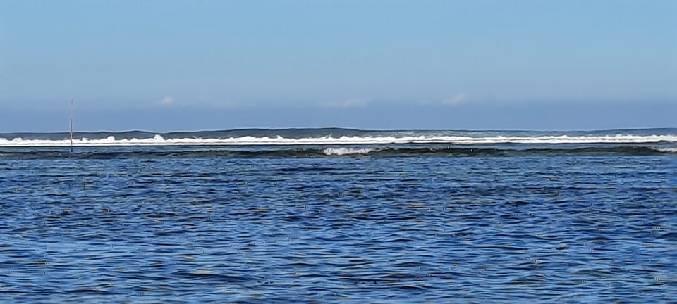 Puerto Del Sol
