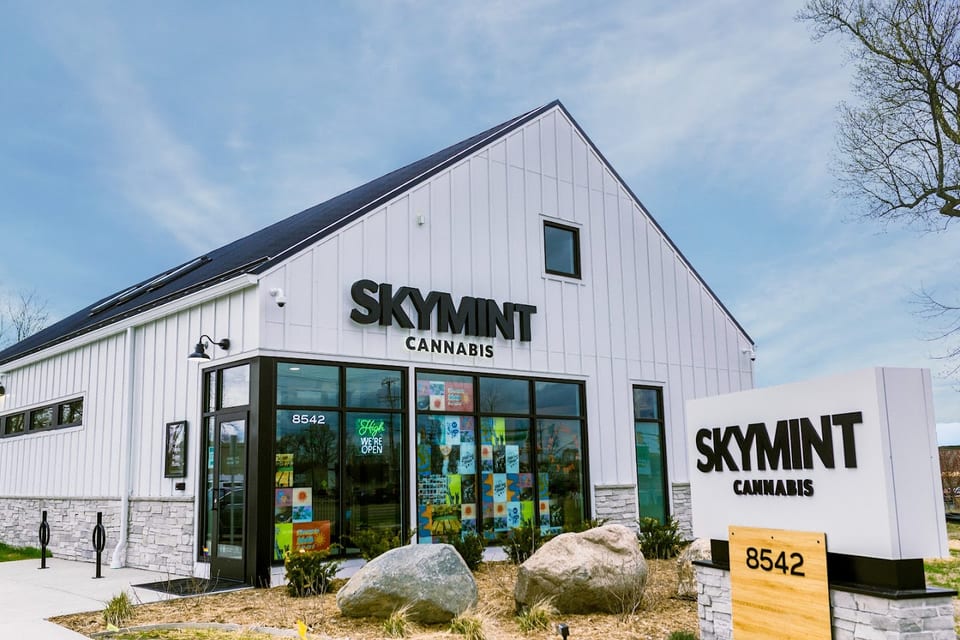 Skymint Portage