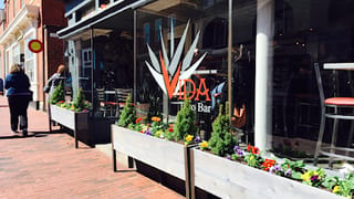 Vida