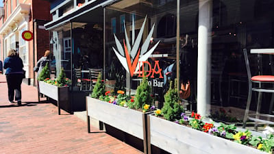 Vida