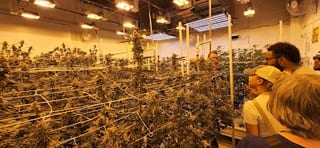 Karmaceuticals