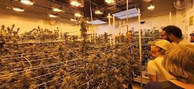 Karmaceuticals