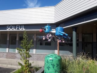 Solful - Sebastopol
