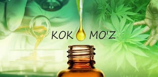 Kokomoz 2