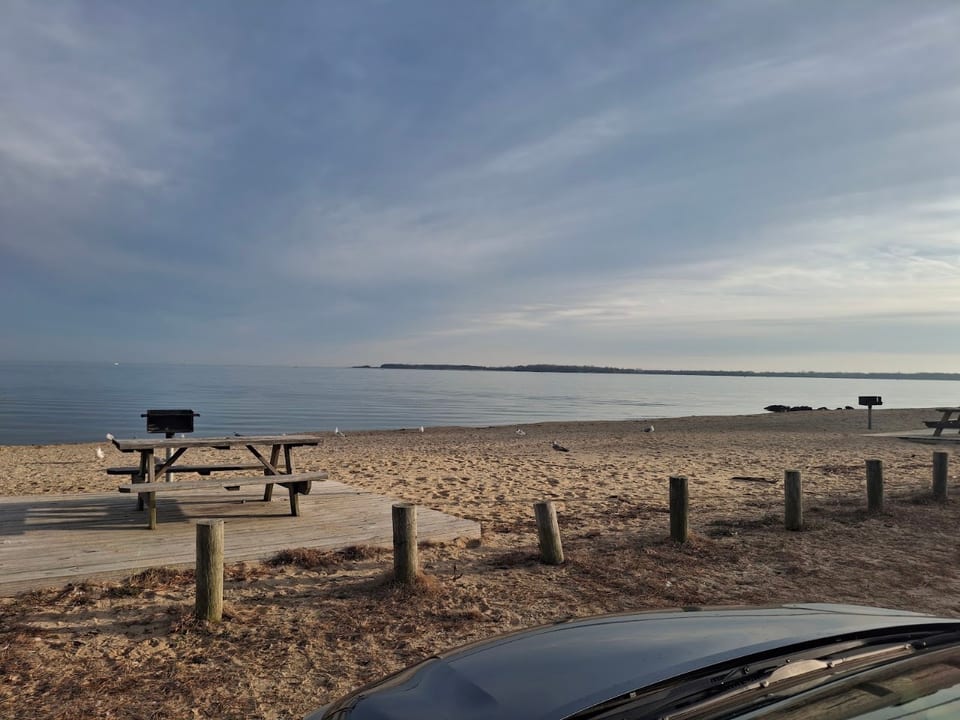 Seahorse Beach
