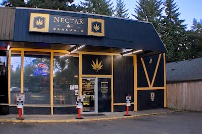 Nectar - Liberty / Salem