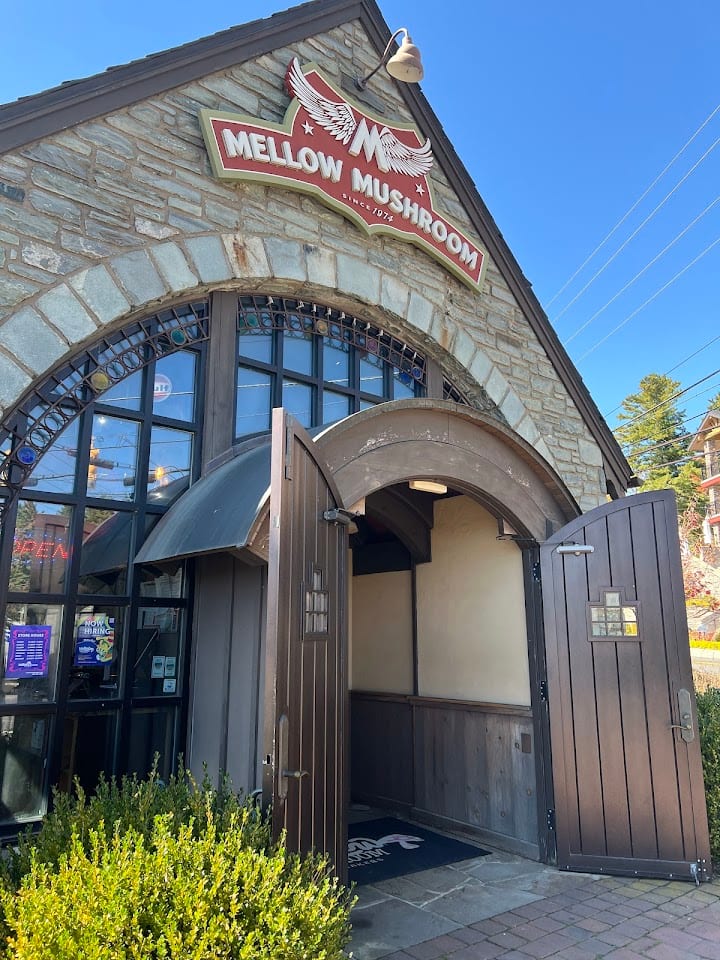 Mellow Mushroom #74