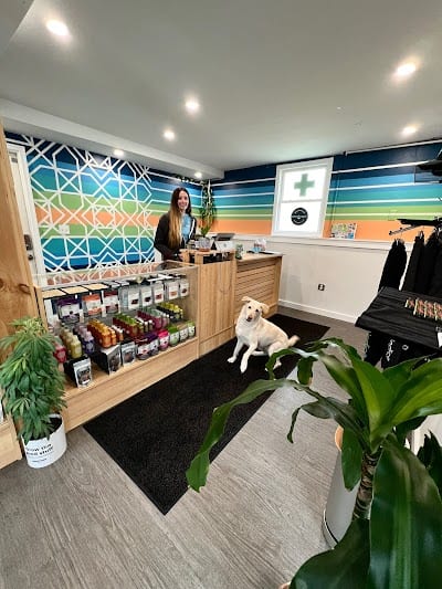 Indico