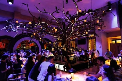 Maya Day & Nightclub
