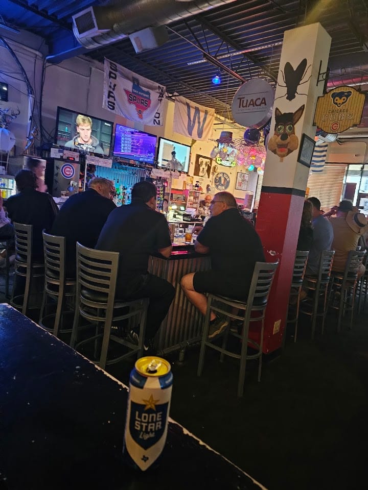 Bar Flys