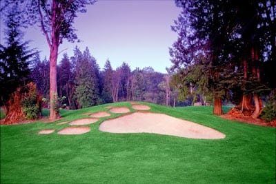 Bear Creek Country Club #431