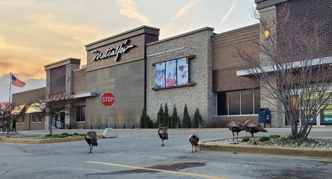 Metcalfe's | Tosa