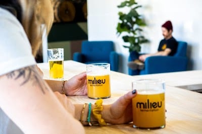 Milieu Fermentation