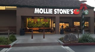 Mollie Stones Market #4