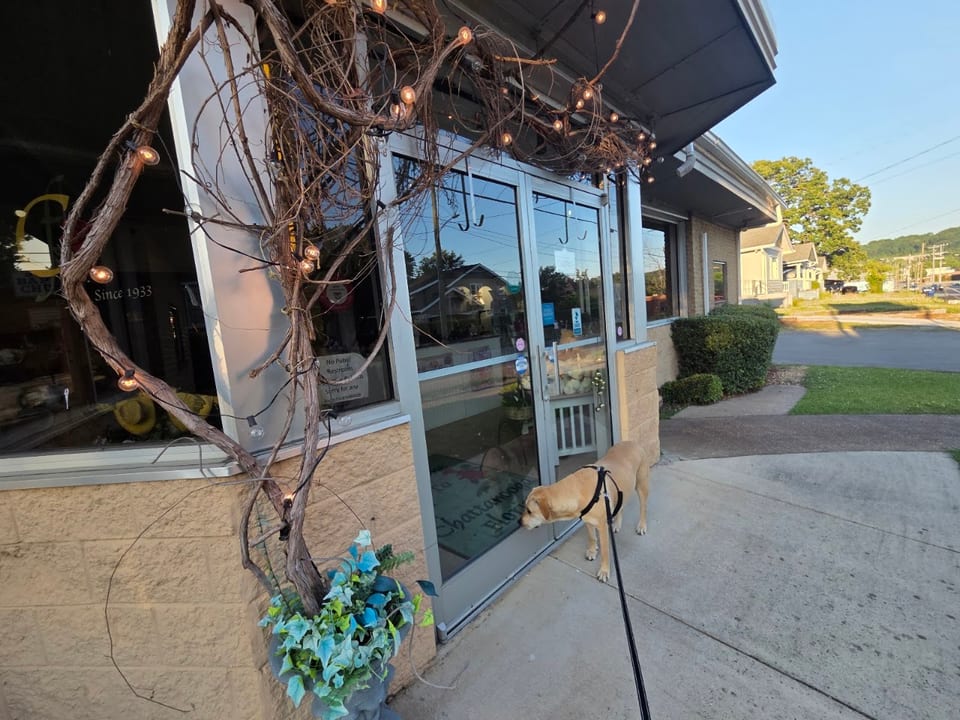 The Flower Shop