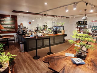 Amsterdam Co Coffeehouse