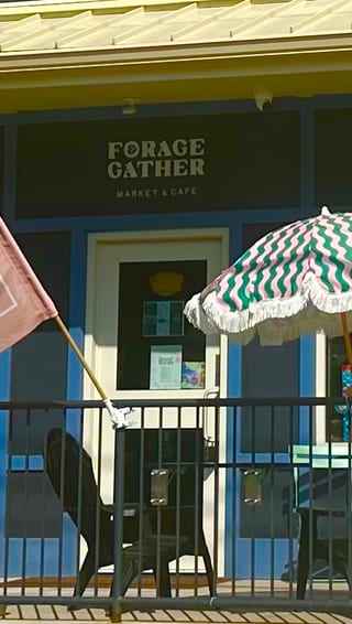 Forage and Gather Market